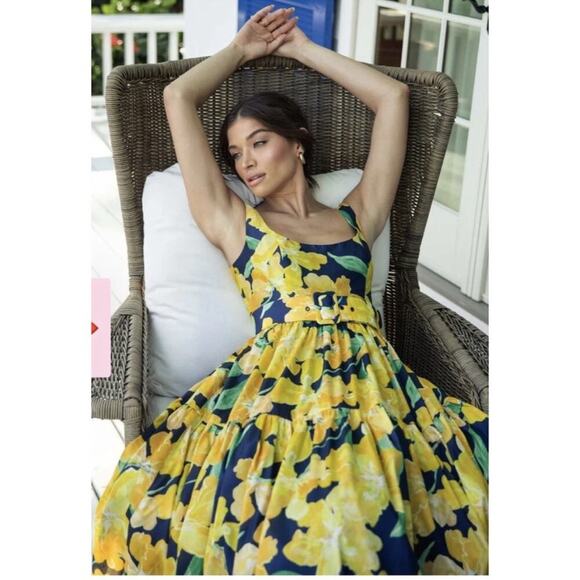 NWT NEW Anthropologie Hutch Alice Midi Dress Size 2 - Picture 2 of 12